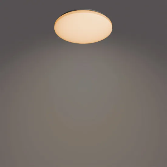Philips Izso fehér LED mennyezeti lámpa (PHI-8720169196070) LED 1 izzós IP20