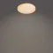 Philips Izso fehér LED mennyezeti lámpa (PHI-8720169196070) LED 1 izzós IP20