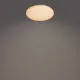 Philips Izso fehér LED mennyezeti lámpa (PHI-8720169196070) LED 1 izzós IP20