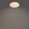 Philips Izso fehér LED mennyezeti lámpa (PHI-8720169196094) LED 1 izzós IP20