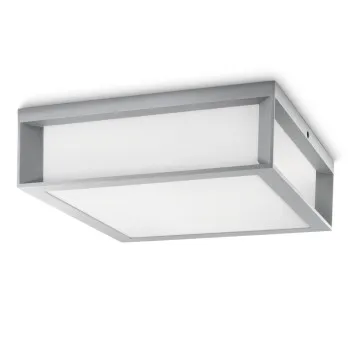 Philips Skies szürke kültéri mennyezeti lámpa (PHI-8719514385344) E27 1 izzós IP44