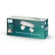Philips Star szürke LED mennyezeti spotlámpa (PHI-8718291444879) LED 2 izzós IP20