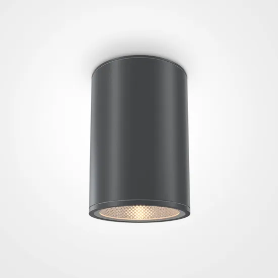 Maytoni Bar szürke kültéri LED mennyezeti lámpa (MAY-O306CL-L12GF) LED 1 izzós IP65
