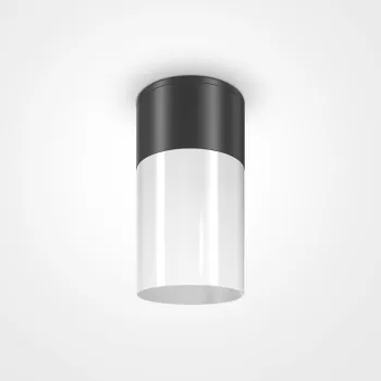 Maytoni Willis fekete-fehér kültéri mennyezeti lámpa (MAY-O418CL-01B) E27 1 izzós IP54