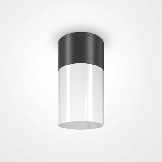 Maytoni Willis fekete-fehér kültéri mennyezeti lámpa (MAY-O418CL-01B) E27 1 izzós IP54