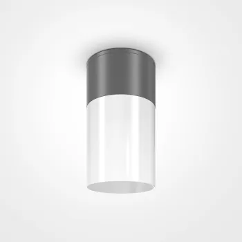 Maytoni Willis fekete-fehér kültéri mennyezeti lámpa (MAY-O418CL-01GR) E27 1 izzós IP54