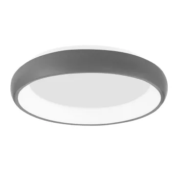 Nova Luce Albi ezüst mennyezeti lámpa (NL-8105615) LED 1 izzós IP20