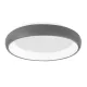 Nova Luce Albi ezüst mennyezeti lámpa (NL-8105615) LED 1 izzós IP20
