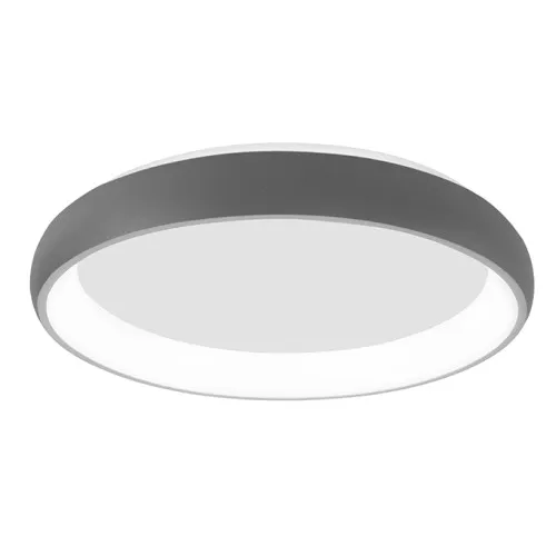 Nova Luce Albi ezüst mennyezeti lámpa (NL-8105617) LED 1 izzós IP20