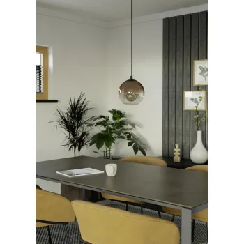 Eglo Ariscani 1 fekete függesztett lámpa (EG-901923) E27 1 izzós IP20