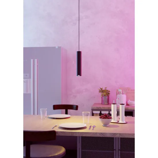 Eglo Balamorta-Z fekete LED függesztett lámpa (EG-901123) LED 1 izzós IP20