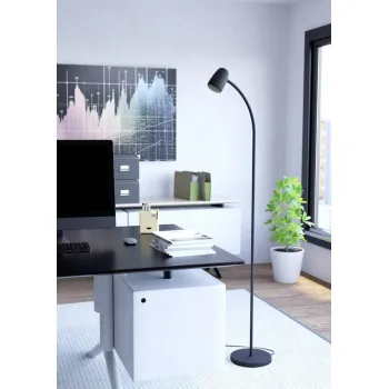 Eglo Carlo fekete állólámpa (EG-902172) E14 1 izzós IP20