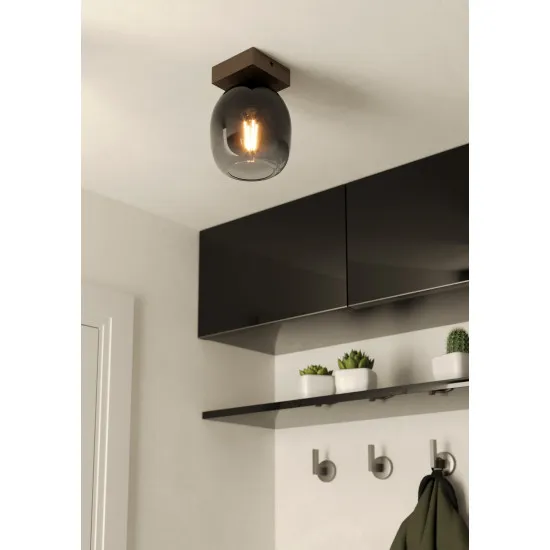 Eglo Filago barna mennyezeti lámpa (EG-900825) E27 1 izzós IP20