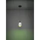 Eglo Molochio-Z fekete LED függesztett lámpa (EG-901119) LED 1 izzós IP20