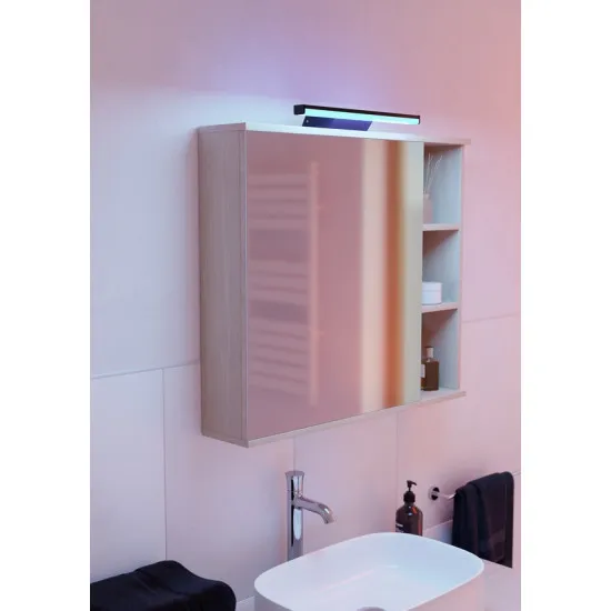 Eglo Regello-Z fekete LED fürdőszobai tükörvilágítás (EG-901287) LED 1 izzós IP44