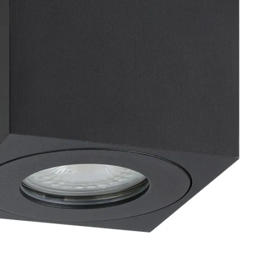 Eglo Torrecola fekete kültéri mennyezeti lámpa (EG-901029) GU10 1 izzós IP44