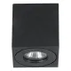 Eglo Torrecola fekete kültéri mennyezeti lámpa (EG-901029) GU10 1 izzós IP44