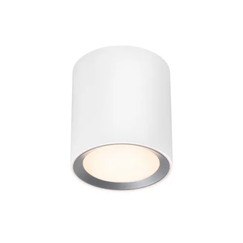 Nordlux Landon fehér vízvédett LED fürdőszobai mennyezeti lámpa (NOR-2110670101) LED 1 izzós IP44