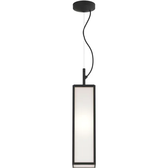 Astro Lighting Harvard Pendant fekete kültéri függesztett lámpa (AST-1402013) E27 1 izzós IP44