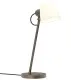 Astro Lighting Imari Desk barna asztali lámpa (AST-1460001) E27 1 izzós IP20