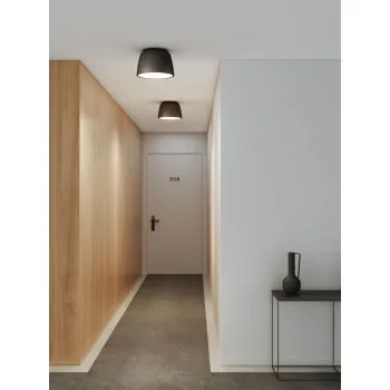 Astro Lighting Taiko 300 fekete mennyezeti lámpa (AST-1456001) E27 2 izzós IP20