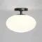 Astro Lighting Zeppo Ceiling fekete fürdőszobai mennyezeti lámpa (AST-1176017) E27 1 izzós IP44