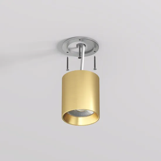 DENKIRS DENKIRS DK sárgaréz LED mennyezeti lámpa (DEN-DK/EU-2610-SB) LED 1 izzós IP20