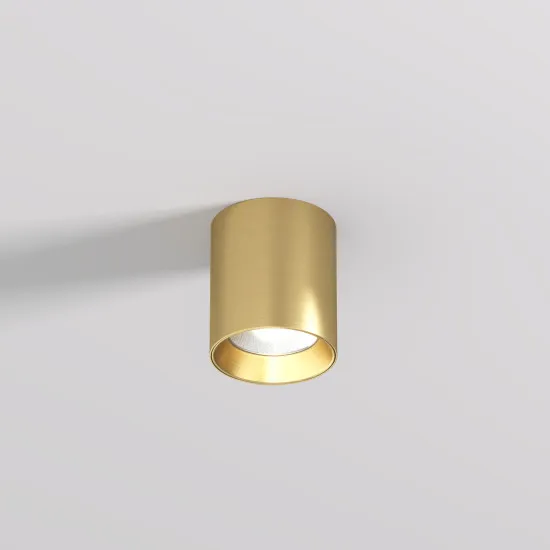 DENKIRS DENKIRS DK sárgaréz LED mennyezeti lámpa (DEN-DK/EU-2610-SB) LED 1 izzós IP20