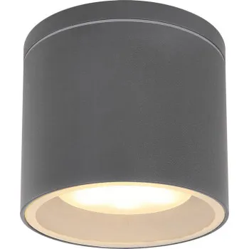 Globo Alcala antracit-átlátszó kültéri mennyezeti lámpa (GLO-32063A) GX53 1 izzós IP44