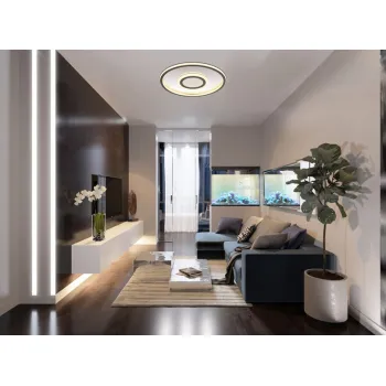 Globo Cara szürke LED mennyezeti lámpa (GLO-48556-40) LED 1 izzós IP20