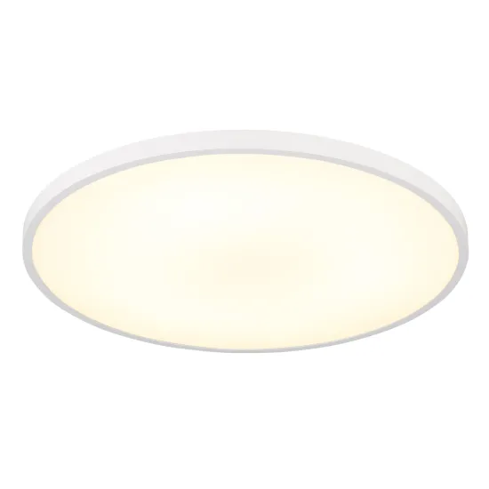 Globo Nielsen fehér-opál LED mennyezeti lámpa (GLO-41566-32W) LED 1 izzós IP20