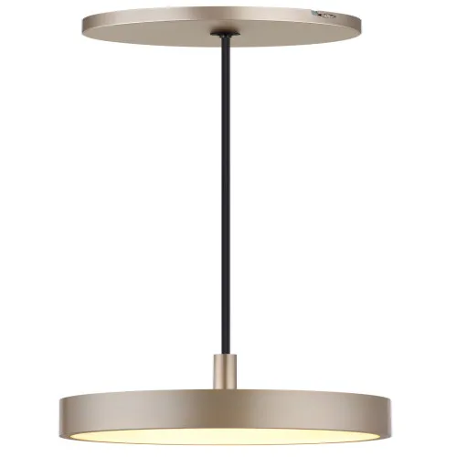 Globo Raymond fekete-pezsgő   LED függesztett lámpa (GLO-56964H) LED 1 izzós IP20