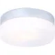Globo Vranos ezüst-opál kültéri mennyezeti lámpa (GLO-32111) E27 1 izzós IP44