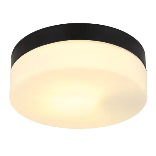 Globo Vranos fekete-opál kültéri mennyezeti lámpa (GLO-32111B) E27 1 izzós IP44