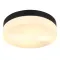 Globo Vranos fekete-opál kültéri mennyezeti lámpa (GLO-32112B) E27 2 izzós IP44