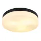 Globo Vranos fekete-opál kültéri mennyezeti lámpa (GLO-32113B) E27 3 izzós IP44