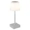 Globo Xayden ezüst-opál LED asztali lámpa (GLO-28061SI) LED 1 izzós IP20