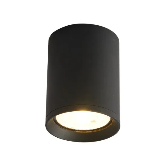 Italux Cervia fekete LED kültéri mennyezeti lámpa (IT-OPN-2003-4K) LED 1 izzós IP54