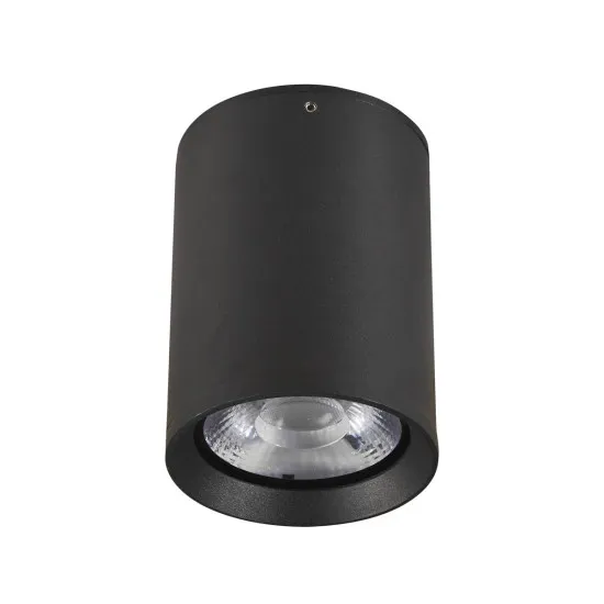 Italux Cervia fekete LED kültéri mennyezeti lámpa (IT-OPN-2003-4K) LED 1 izzós IP54