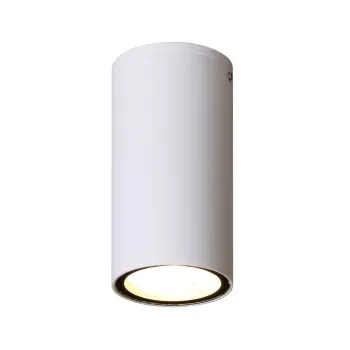 Italux Fano fehér LED kültéri mennyezeti lámpa (IT-OPN-2002-4K) LED 1 izzós IP54
