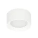 Italux Sirius  fehér fürdőszobai LED mennyezeti lámpa (IT-WG-606A/WK-WW/MULTI) LED 1 izzós IP44