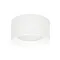 Italux Sirius  fehér fürdőszobai LED mennyezeti lámpa (IT-WG-606A/WK-WW/MULTI) LED 1 izzós IP44