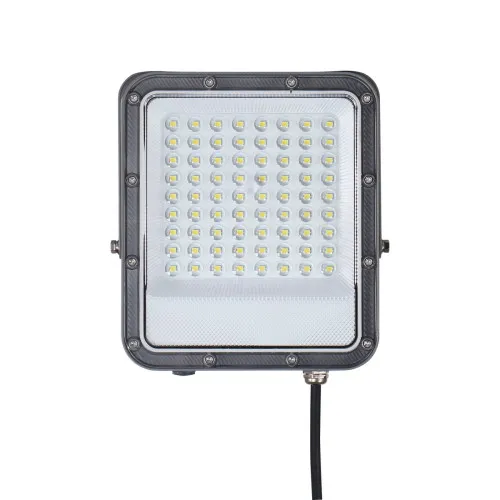 Italux Timbo  szürke LED kültéri reflektor (IT-FD-23913-50W) LED 1 izzós IP65