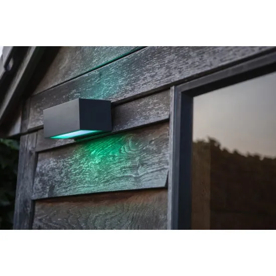 Lutec Gemini sötétszürke LED kültéri fali lámpa (LUT-5189120118) LED 1 izzós IP54