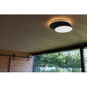 Lutec Goleta matt fekete LED kültéri fali/mennyezeti lámpa (LUT-5205801012) LED 1 izzós IP54