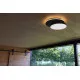 Lutec Goleta matt fekete LED kültéri fali/mennyezeti lámpa (LUT-5205801012) LED 1 izzós IP54