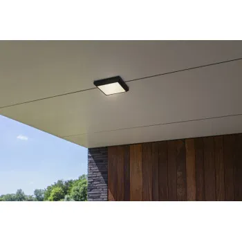 Lutec Helena sötétszürke LED kültéri fali/mennyezeti lámpa (LUT-5102101118) LED 1 izzós IP54