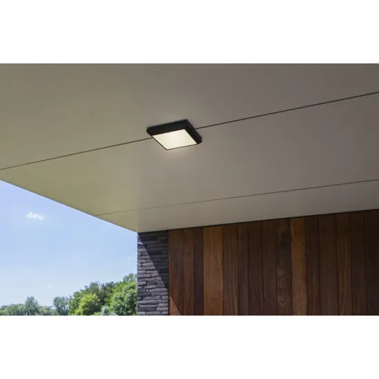 Lutec Helena sötétszürke LED kültéri fali/mennyezeti lámpa (LUT-5102101118) LED 1 izzós IP54
