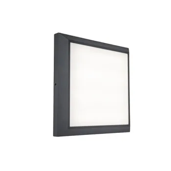 Lutec Helena sötétszürke LED kültéri fali/mennyezeti lámpa (LUT-5102101118) LED 1 izzós IP54
