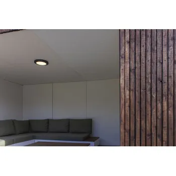 Lutec Kayah sötétszürke LED kültéri fali/mennyezeti lámpa (LUT-6392202457) LED 1 izzós IP54